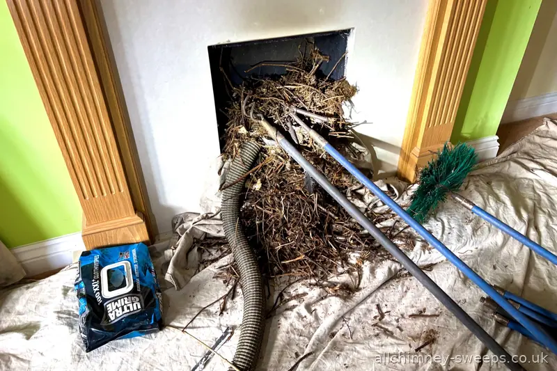 Bird nest clearance — Gas Safe engineer referral, NACS registered chimney sweep, Allchimney Sweeps, Havering